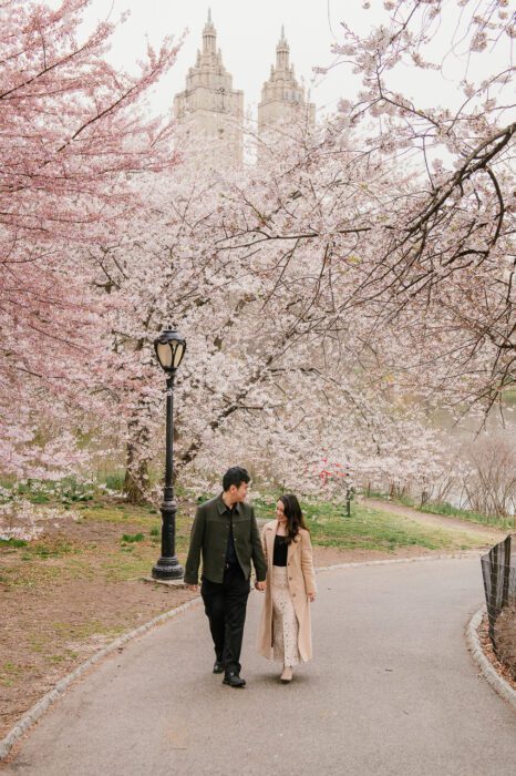 new-york-city-proposal-local-lens-central-park-spring