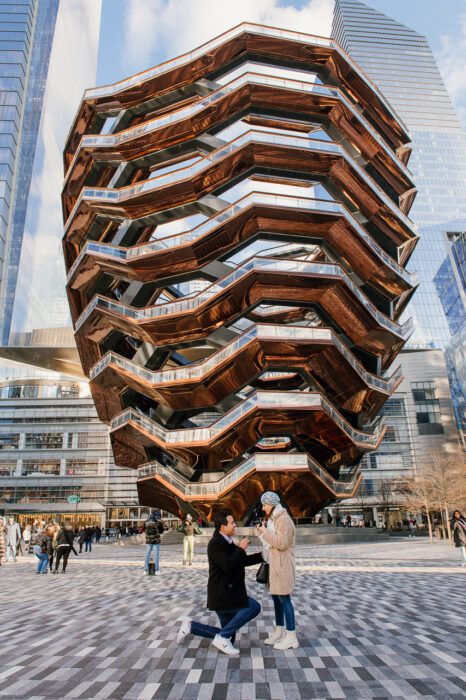 new-york-city-proposal-local-lens-the-high-line-and-vessel