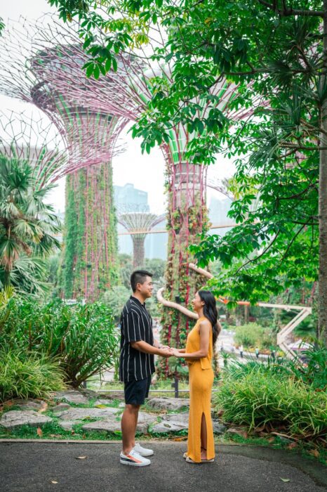 singapore-proposal-local-lens-gardens-by-the-bay
