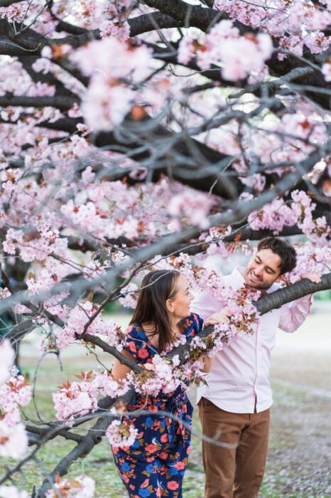 tokyo-proposal-local-lens-shinjuku-gyoen-national-garden-cherry-blossom