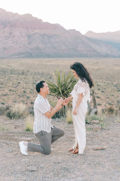 las-vegas-proposal-local-lens-red-rock