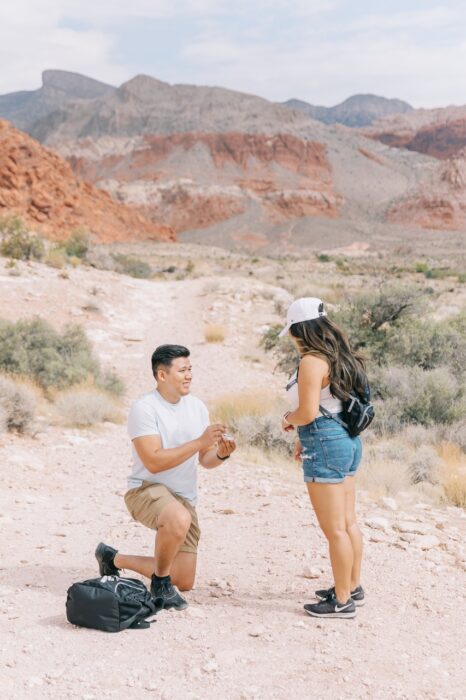 las-vegas-proposal-local-lens-red-rock