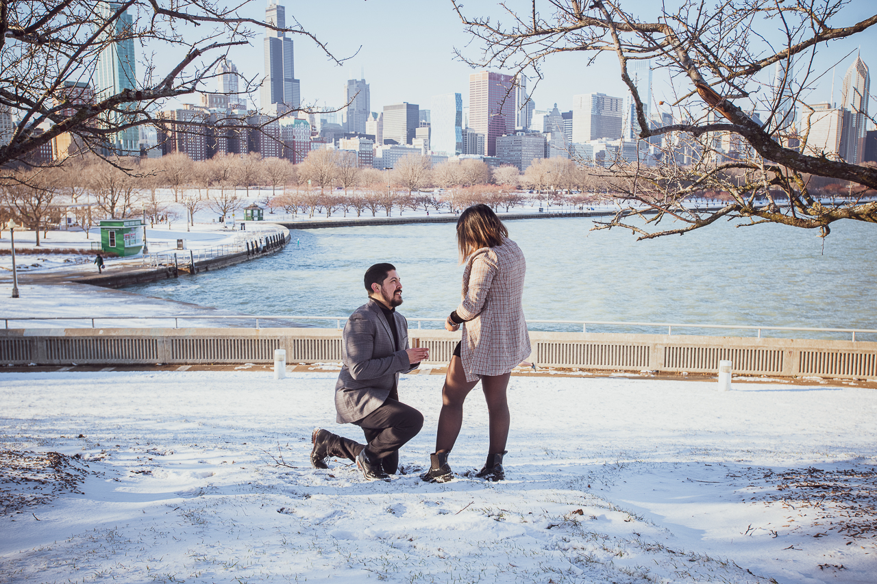 hire a proposal photograhper in Chicago