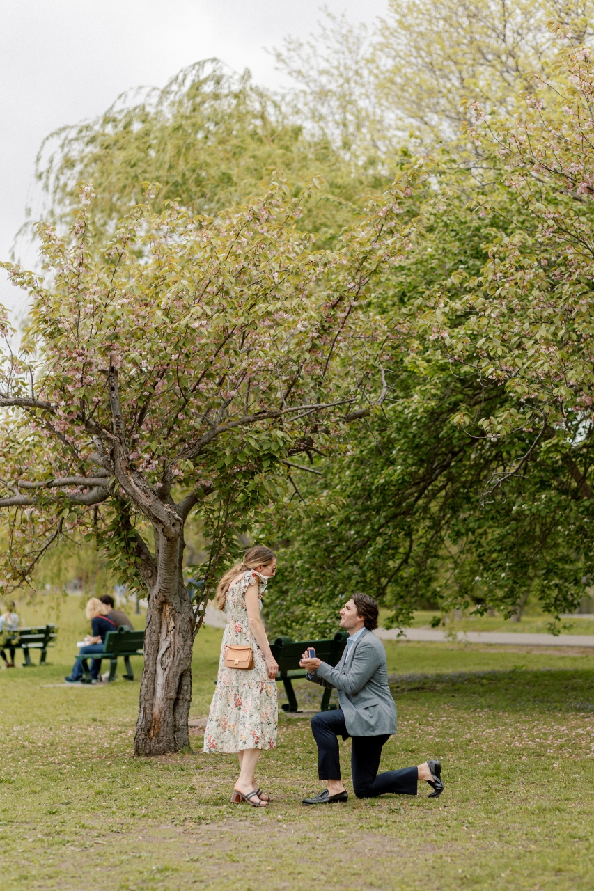 hire a proposal photograhper in Boston