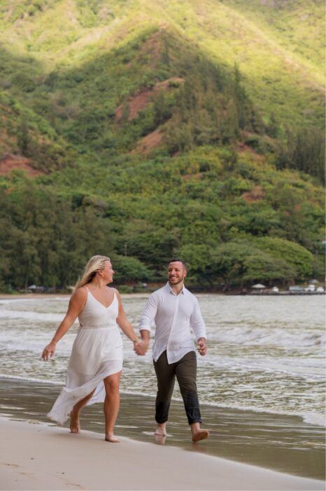 local-lens-honolulu-hawaii-proposal
