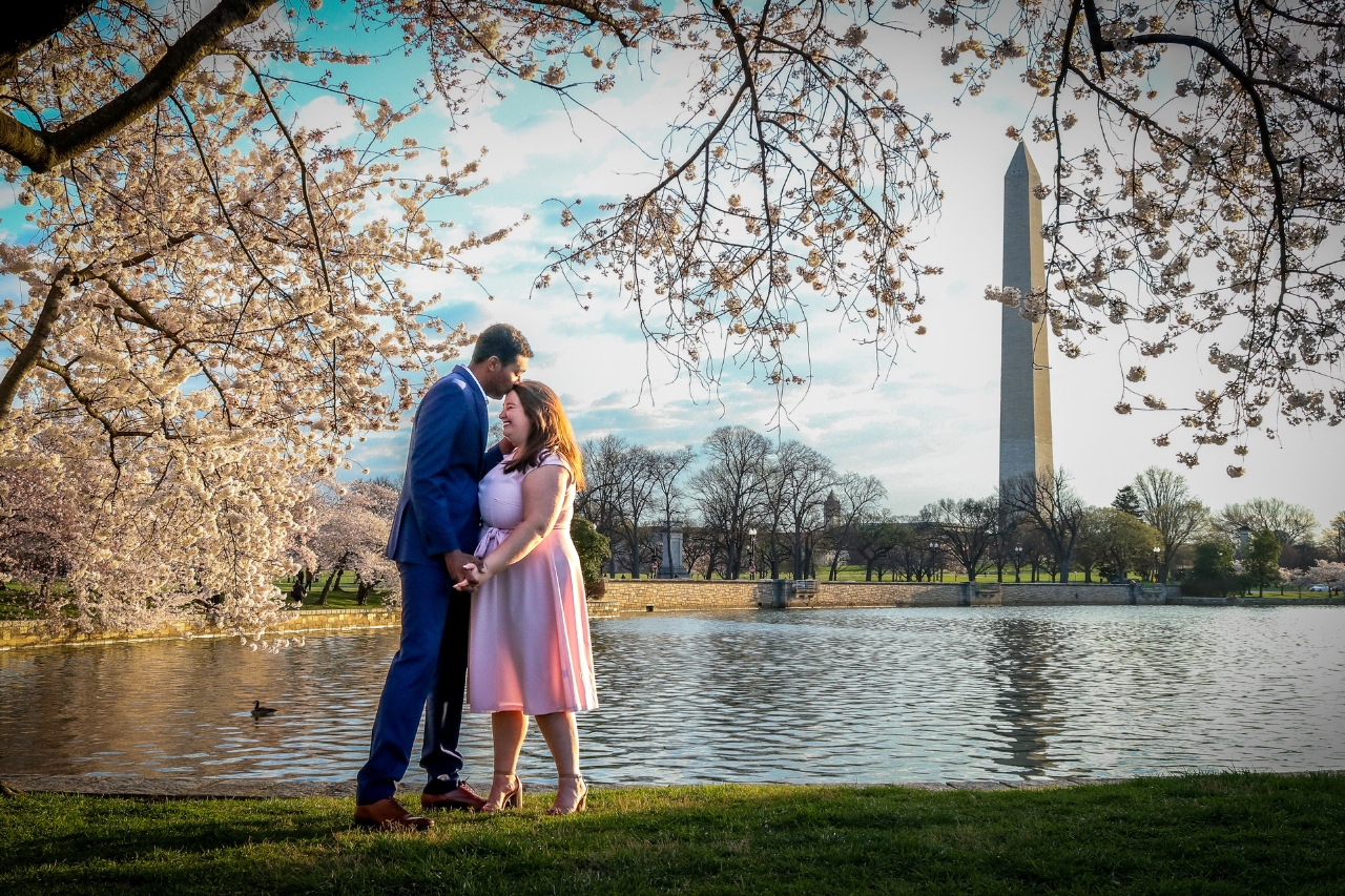 Washington DC proposal spopt second banner image