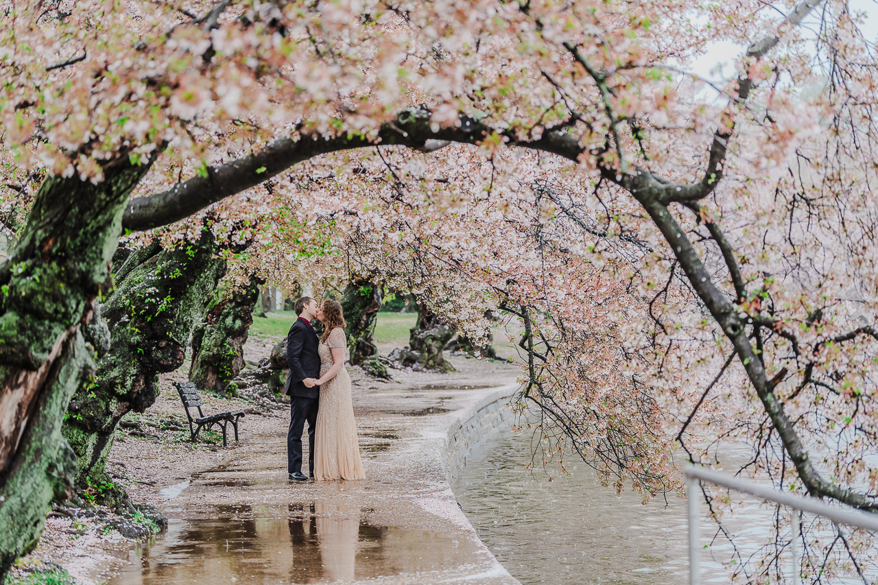 Washington DC proposal spot banner image