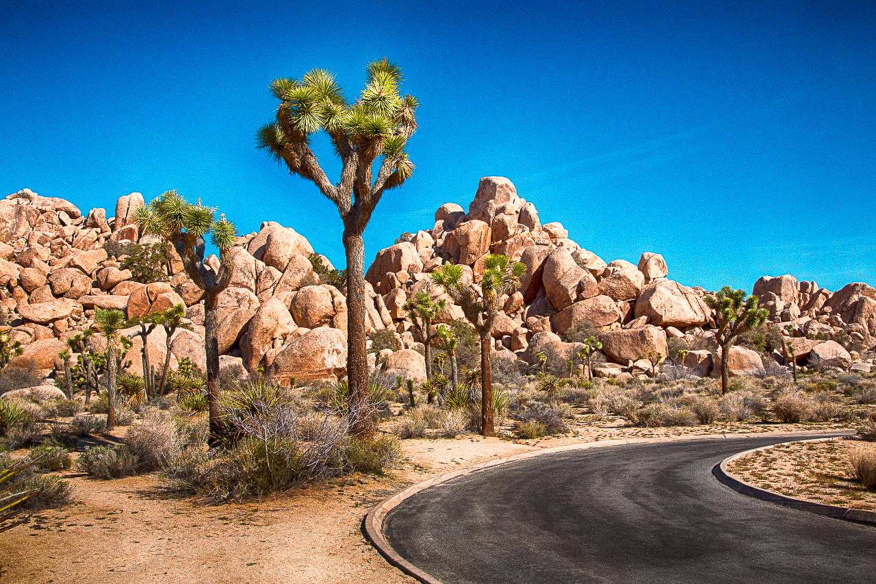 book a proposal photo shoot in Palm Springs cta image