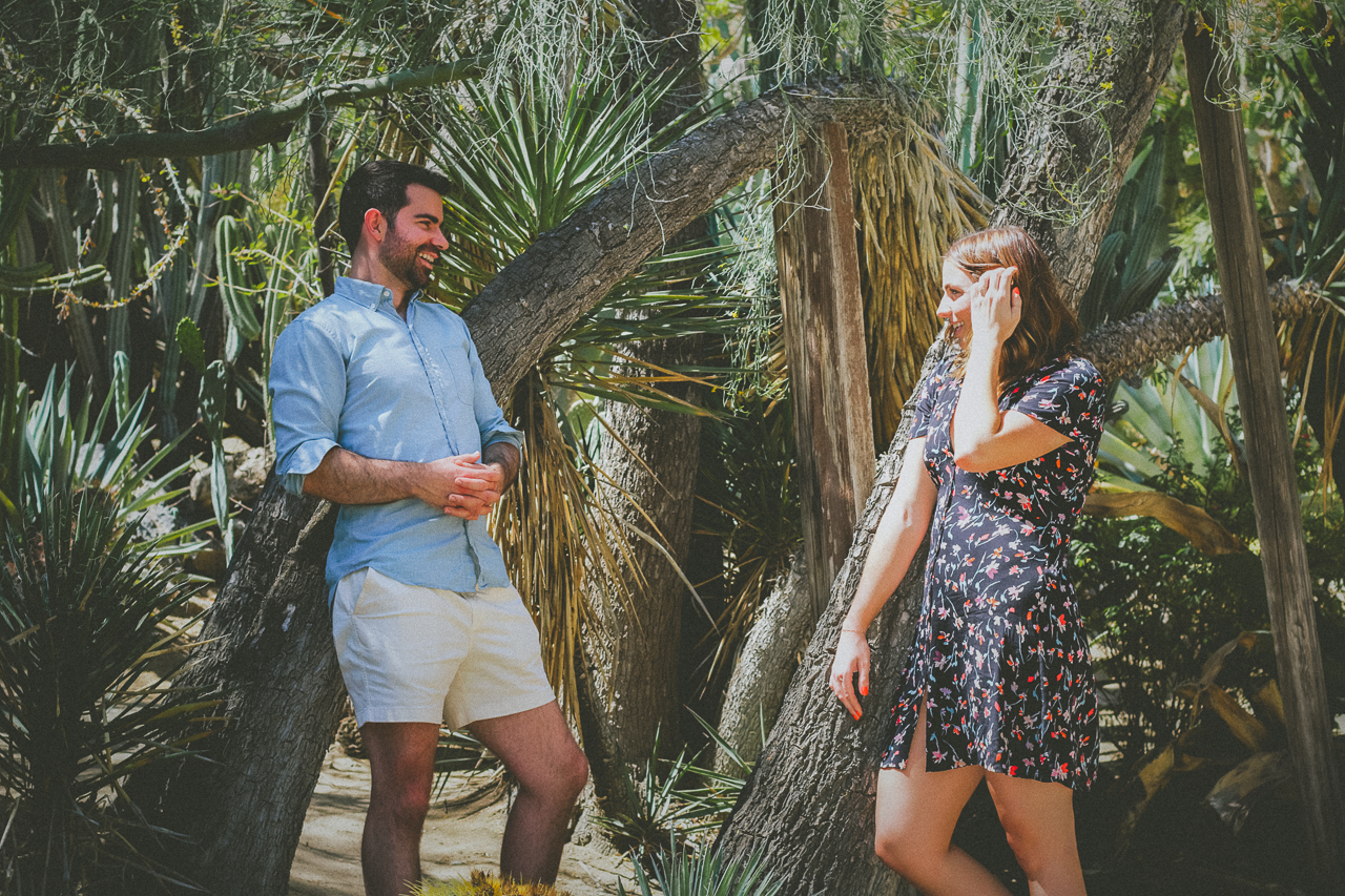Palm Springs proposal spopt second banner image