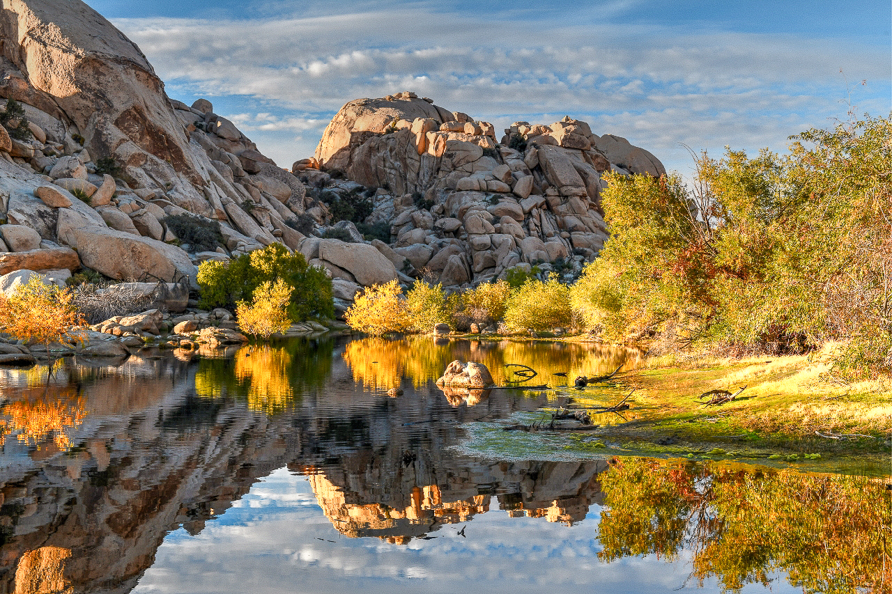 hire a proposal photograhper in Palm Springs