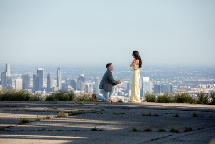 local-lens-hollywood-los-angeles-proposal