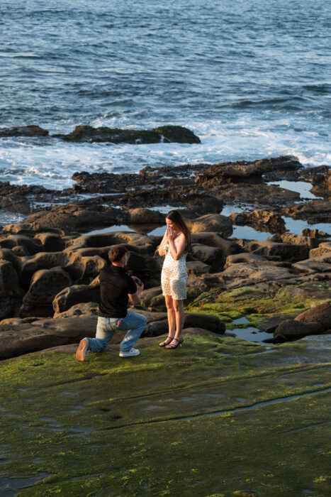 local-lens-san-diego-proposal