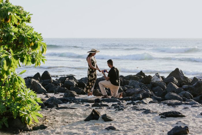 local-lens-big-island-hawaii-proposal
