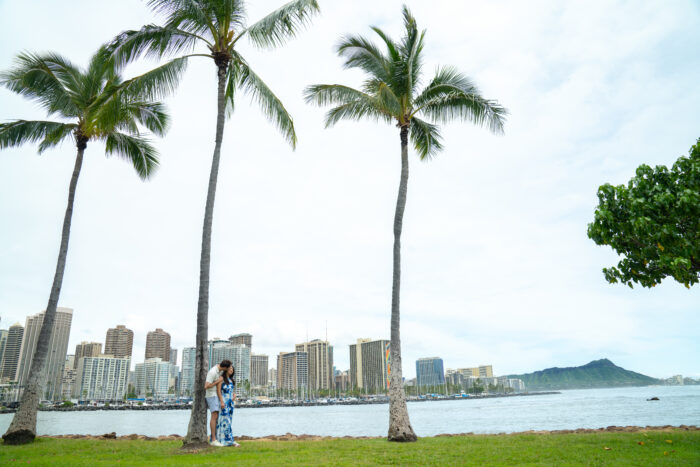 local-lens-oahu-hawaii-proposal