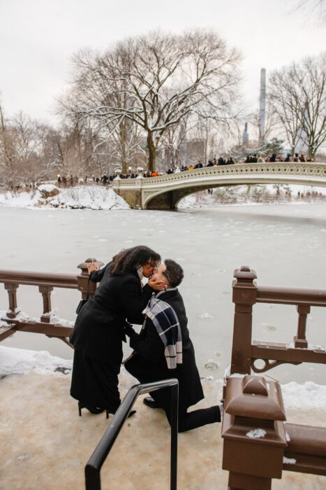 local-lens-new-york-proposal